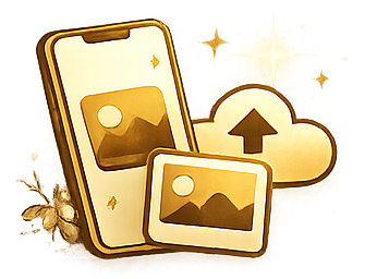 Upload photos and videos